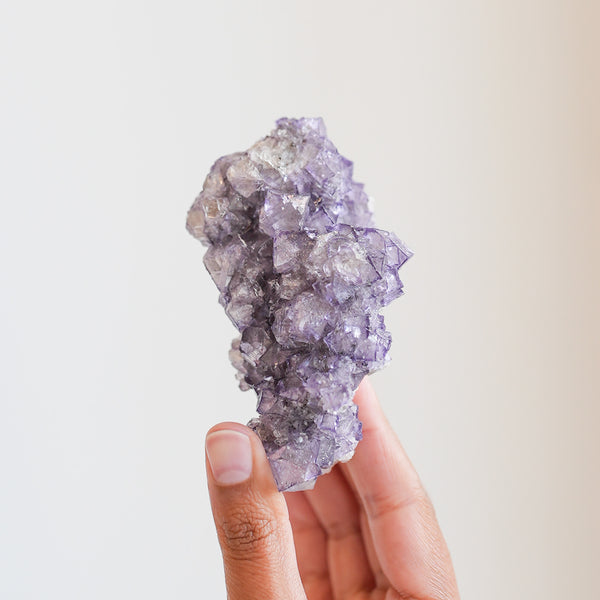 Incredible Elmwood Fluorite Cluster