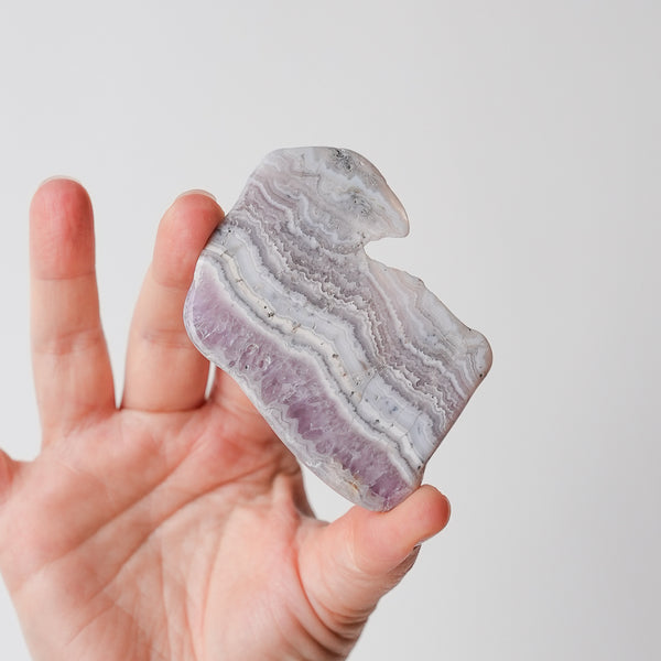 Sowbelly Amethyst from Colorado