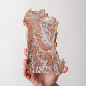 Soft Toned Youngite Slab from Wyoming