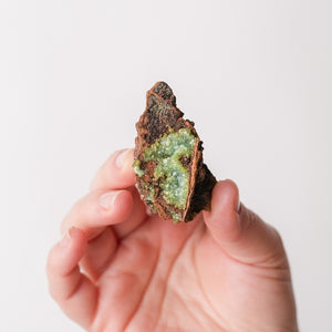 Sparkly Mexican Adamite