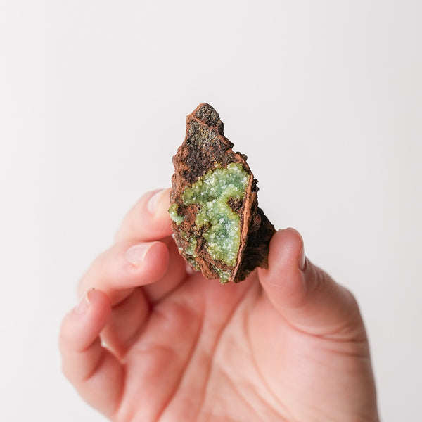Sparkly Mexican Adamite