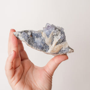 Pastel New Mexico Fluorite with Galena