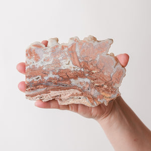 Druzy Edged Youngite Slab from Wyoming