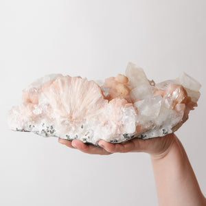 Gorgeous Peach Stilbite & Apophyllite
