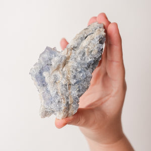 Pastel New Mexico Fluorite with Galena