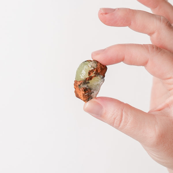 Adamite from Mexico