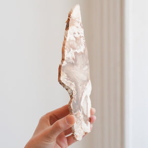 Petrified Wood Slab from Washington