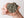 Siderite on Pyrite from Colorado