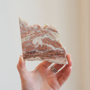 Youngite Slab from Wyoming