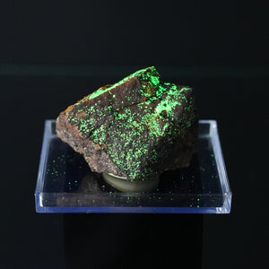 Nevada Autunite