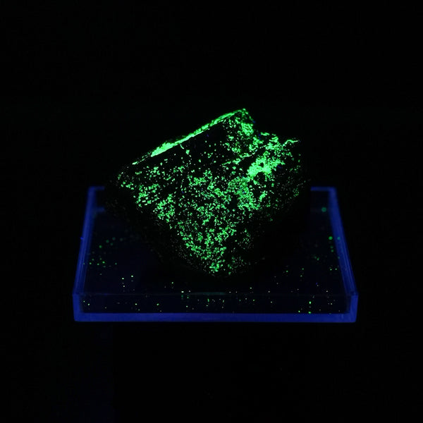 Nevada Autunite