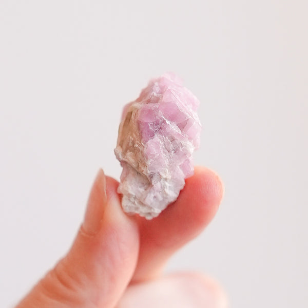 Petite Tourmaline (Pink + Green)