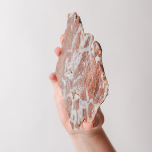 Youngite Slab with Druzy Pockets from Wyoming