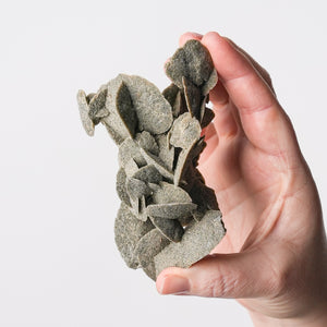 Desert Rose (Selenite)