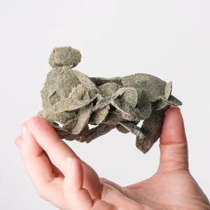 Desert Rose (Selenite)