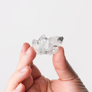 Apophyllite Cluster Mini