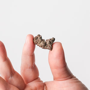 Arizona Native Copper Mini