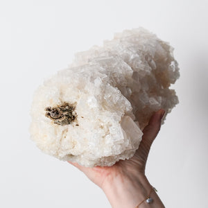 Rare Utah Halite on Driftwood