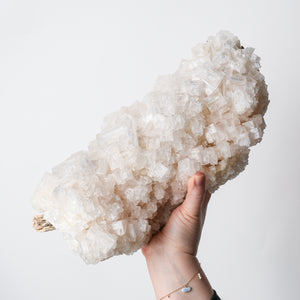 Rare Utah Halite on Driftwood