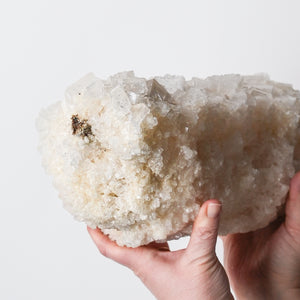 Rare Utah Halite on Driftwood