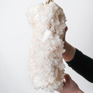 Rare Utah Halite on Driftwood