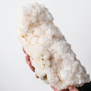 Rare Utah Halite on Driftwood