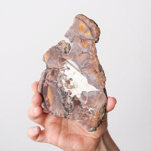 Mookaite Jasper Plate