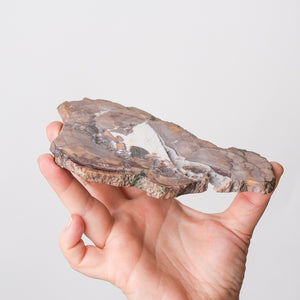 Mookaite Jasper Plate
