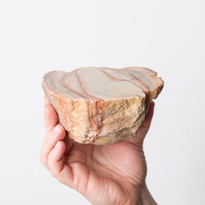 Polished Colorado Agate Pair