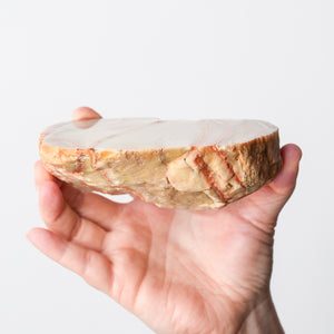 Polished Colorado Agate Pair
