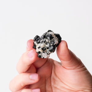 Schorl (Tourmaline) cluster on Quartz