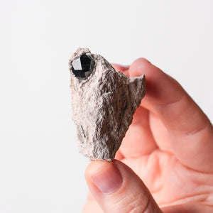 Garnet (Almandine-Spessartine) on Rhyolite (3)