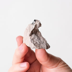 Garnet (Almandine-Spessartine) on Rhyolite (3)