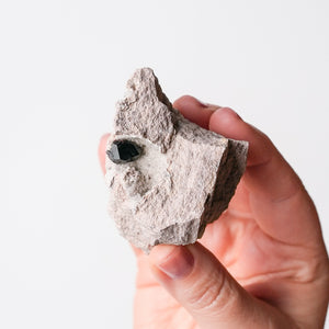 Garnet (Almandine-Spessartine) on Rhyolite (4)