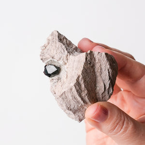 Garnet (Almandine-Spessartine) on Rhyolite (4)