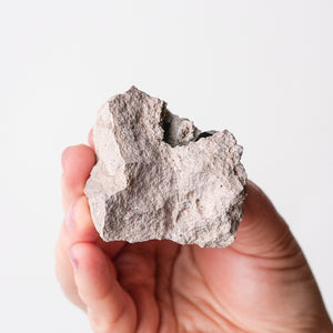 Garnet (Almandine-Spessartine) on Rhyolite (4)