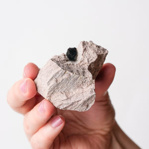 Garnet (Almandine-Spessartine) on Rhyolite (4)