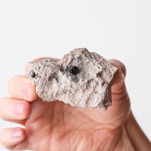 Garnet (Almandine-Spessartine) on Rhyolite (6)