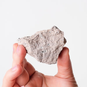 Garnet (Almandine-Spessartine) on Rhyolite (6)