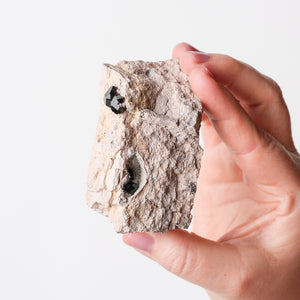 Garnet (Almandine-Spessartine) on Rhyolite (7)