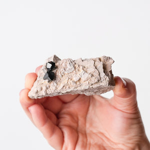 Garnet (Almandine-Spessartine) on Rhyolite (7)