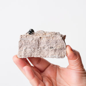 Garnet (Almandine-Spessartine) on Rhyolite (7)