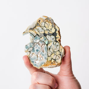 Variscite, Wardite, and Crandallite