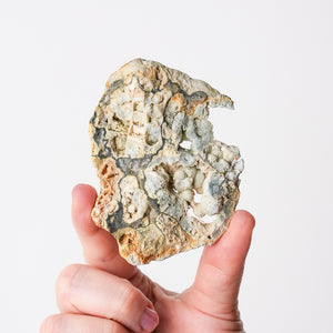 Variscite, Wardite, and Crandallite