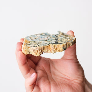 Variscite, Wardite, and Crandallite