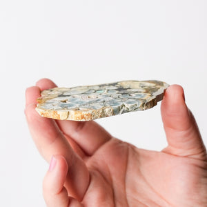 Variscite, Wardite, and Crandallite