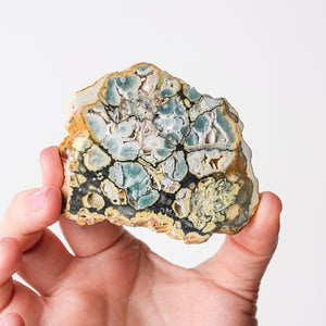 Variscite, Wardite, and Crandallite