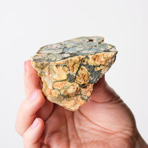 Variscite, Wardite, and Crandallite