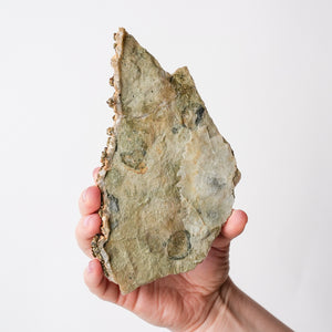 Goethite, Calcite, Pyrite, and Dolomite