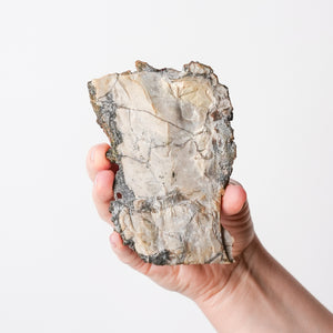 "Ruby Jack" Sphalerite, Chalcopyrite, and Calcite